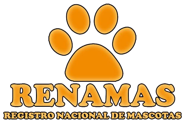 Mascota